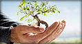 Armsa Consulting
